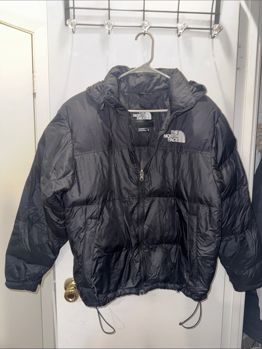 The North Face 700-fill puffer